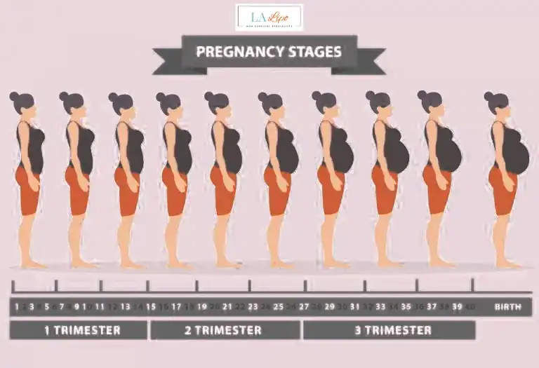 First Trimester (Weeks 1–12): Early Changes You Might Not Notice Smethwick